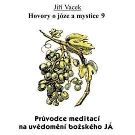 Audiokniha Hovory o józe a mystice 9  - autor Jiří Vacek   - interpret Jiří Vacek