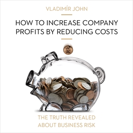 Audiokniha How to increase company profits by reducing costs  - autor Vladimír John   - interpret více herců
