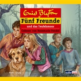 Hörbuch Funf Freunde und das Teufelsmoor  - Autor Enid Blyton   - gelesen von Rosemarie Fendel