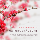 XXL-Bundle: Naturgeräusche