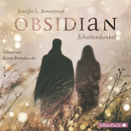 Hörbuch Schattendunkel (Obsidian 1)  - Autor Jennifer L. Armentrout   - gelesen von Merete Brettschneider