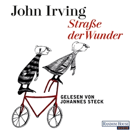 Hörbuch Straße der Wunder  - Autor John Irving   - gelesen von Johannes Steck