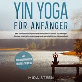 Yin Yoga für Anfänger: Mit sanften Übungen und einfachen Asanas zu weniger Stress, mehr Entspannung und ganzheitlicher Gesundhei