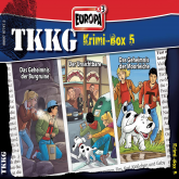TKKG Krimi-Box 05 (Folgen 154/167/172)