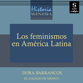 Historia M Nima De Los Feminismos En Am Rica Latina Ensayo Los