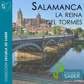 Audiolibro Salamanca. La Reina del Tormes  - autor Francisco Javier;Lorenzo Pinar   - Lee Javier García