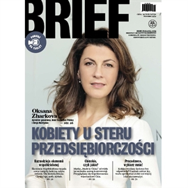 Audiobook Brief 12-2014  - autor Brief   - czyta Paweł Zięba