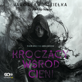 Audiobook Kroczący wśród cieni  - autor Jarosław Kukiełka   - czyta Filip Kosior