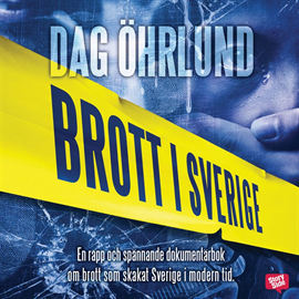 brott i sverige brott i sverige