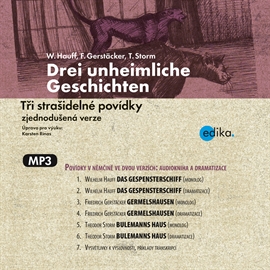 Audiokniha Drei unheimliche Geschichten  - autor Wilhelm Hauff;Friedrich Gerstäcker;Theodor Storm   - interpret skupina hercov