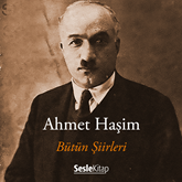 Ahmet Haşim - Şiirler