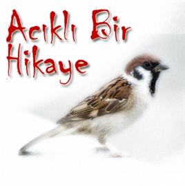 Sesli kitap Acıklı Bir Hikaye  - yazar Ömer Seyfettin   - seslendiren Mehmet Atay