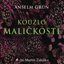 Audiokniha Kouzlo maličkostí  - autor Anselm Grün   - interpret Martin Zahálka