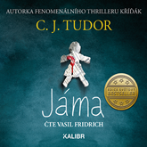 Audiokniha Jáma  - autor C. J. Tudor   - interpret Vasil Fridrich