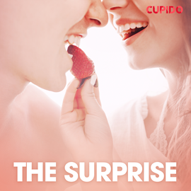 Audiokniha The Surprise  - autor Cupido   - interpret Julie Able