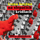 Audiokniha Na slepačích krídlach  - autor Irena Brežná   - interpret Marta Sládečková