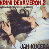Audiokniha Krimi DEKAMERON 2  - autor Jan Kučera   - interpret více herců