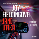Audiokniha Jane utíká  - autor Joy Fielding   - interpret Marie Štípková