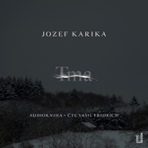 Audiokniha Tma  - autor Jozef Karika   - interpret Vasil Fridrich