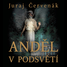 Audiokniha Anděl v podsvětí  - autor Juraj Červenák   - interpret Marek Holý