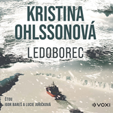 Audiokniha Ledoborec  - autor Kristina Ohlssonová   - interpret více herců