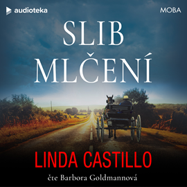 Audiokniha Slib mlčení  - autor Linda Castillo   - interpret Barbora Goldmannová