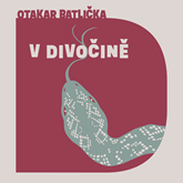 Audiokniha V divočině  - autor Otakar Batlička   - interpret David Matásek