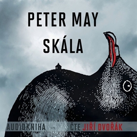 Audiokniha Skála  - autor Peter May   - interpret Jiří Dvořák