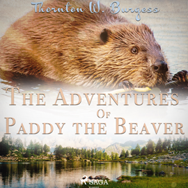 Audiokniha The Adventures of Paddy the Beaver  - autor Thornton Waldo Burgess   - interpret John Lieder