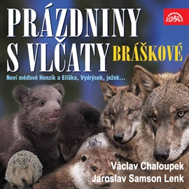 Audiokniha Prázdniny s vlčaty  - autor Václav Chaloupek;Jaroslav Samson Lenk   - interpret Václav Chaloupek