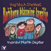 Audiokniha Boříkovy bláznivé lapálie  - autor Vojtěch Steklač   - interpret Martin Dejdar