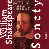 Audiokniha Sonety  - autor William Shakespeare   - interpret více herců