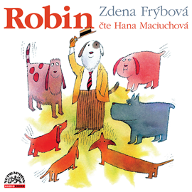 Audiokniha Robin  - autor Zdena Frýbová   - interpret Hana Maciuchová