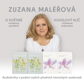 Audiokniha O květině & Houslový klíč  - autor Zuzana Maléřová   - interpret více herců