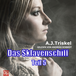 Hörbuch Das Sklavenschiff  - Autor A.J. Triskel   - gelesen von Andreas Schmidt