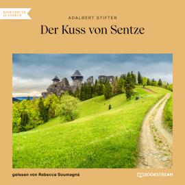 Hörbuch Der Kuss von Sentze (Ungekürzt)  - Autor Adalbert Stifter   - gelesen von Rebecca Soumagné