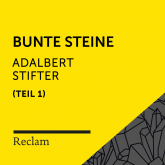 Hörbuch Stifter: Bunte Steine I  - Autor Adalbert Stifter   - gelesen von Heiko Ruprecht