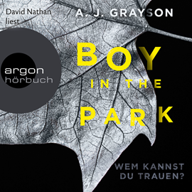 Hörbuch Boy in the Park - Wem kannst du trauen?  - Autor A.J. Grayson   - gelesen von David Nathan