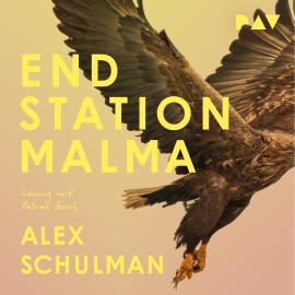 Hörbuch Endstation Malma (Ungekürzt)  - Autor Alex Schulman   - gelesen von Fabian Busch