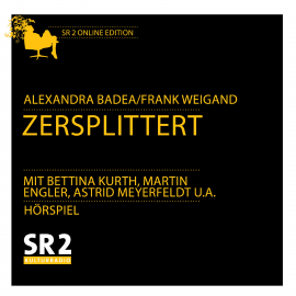 Hörbuch Zersplittert  - Autor Alexandra Badea   - gelesen von Schauspielergruppe