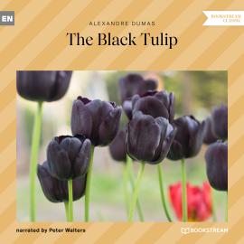 Hörbuch The Black Tulip (Unabridged)  - Autor Alexandre Dumas   - gelesen von Peter Walters