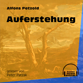 Hörbuch Auferstehung  - Autor Alfons Petzold   - gelesen von Peter Patzak