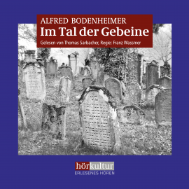 Hörbuch Im Tal der Gebeine  - Autor Alfred Bodenheimer   - gelesen von Thomas Sarbacher