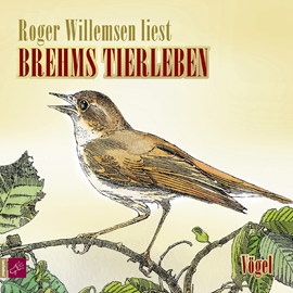 Hörbuch Brehms Tierleben - Vögel  - Autor Alfred E. Brehm   - gelesen von Roger Willemsen