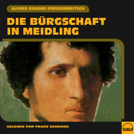 Hörbuch Die Bürgschaft in Meidling  - Autor Alfred Eduard Forschneritsch   - gelesen von Franz Suhrada