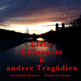 Hörbuch Liebe, Eifersucht und andere Tragödien  - Autor Alogino   - gelesen von Gerhard Acktun