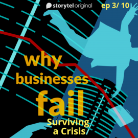 Hörbuch Why Businesses Fail? S01E03  - Autor Amar Deshpande   - gelesen von Amar Deshpande