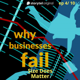 Hörbuch Why Businesses Fail? S01E04  - Autor Amar Deshpande   - gelesen von Amar Deshpande