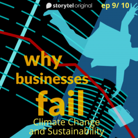 Hörbuch Why Businesses Fail? S01E09  - Autor Amar Deshpande   - gelesen von Amar Deshpande