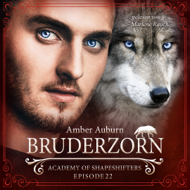 Hörbuch Bruderzorn, Episode 22 - Fantasy-Serie  - Autor Amber Auburn   - gelesen von Marlene Rauch